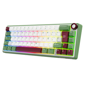 RK Royal Kludge R65 Gasket Wired Mechanical Keyboard